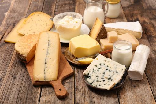 fromageries mulhouse fromageries mulhouse