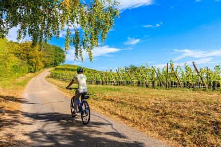 Découvrez Mulhouse et sa région lors de votre séjour dans notre hôtel