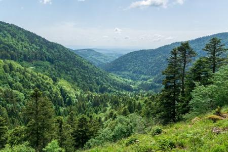 Vue sur le parc naturel du Ballons des Vosges