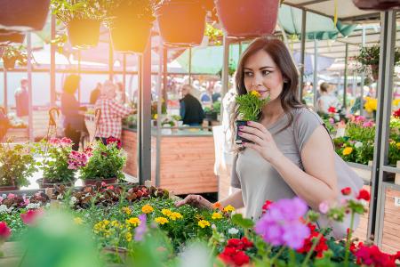 Marché aux plantes